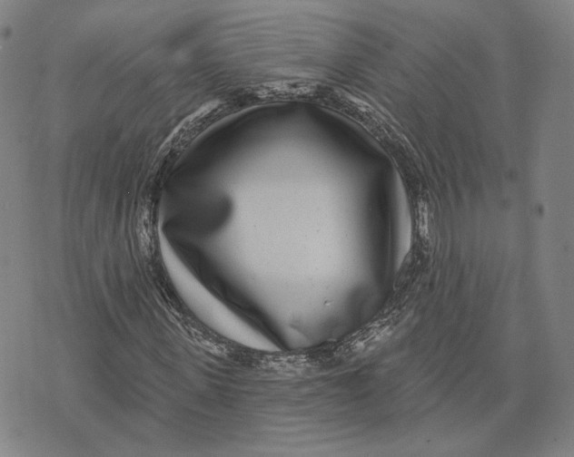 X0000071820915200607211733