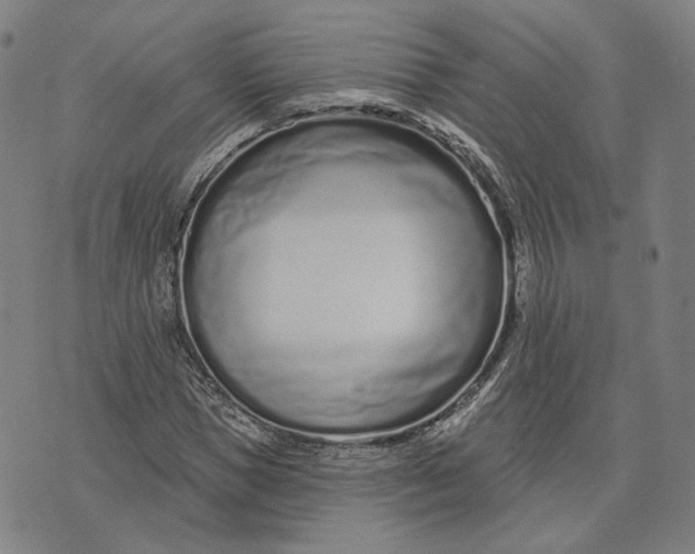 X0000071820921200607211733
