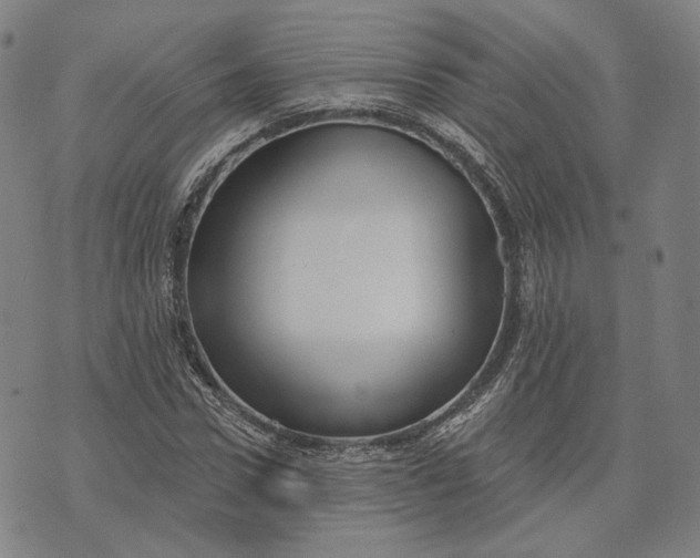 X0000071820922200607211733
