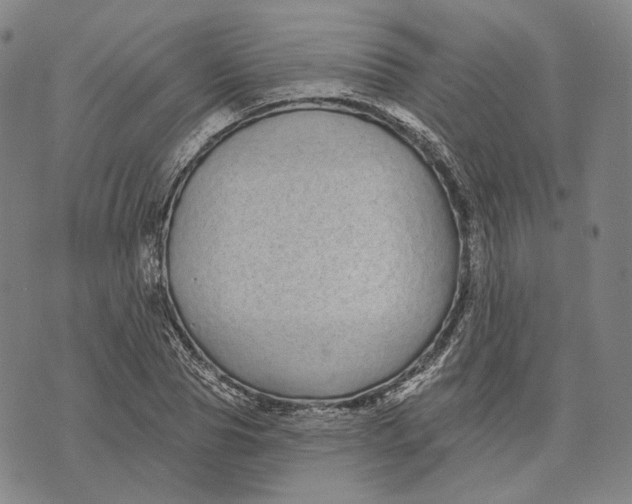 X0000071820929200607211733