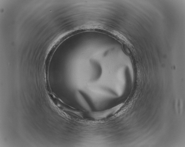 X0000071820934200607211733