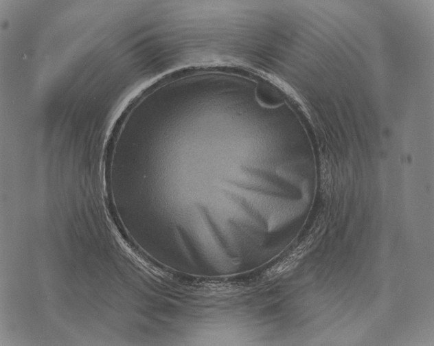 X0000071820935200607211733