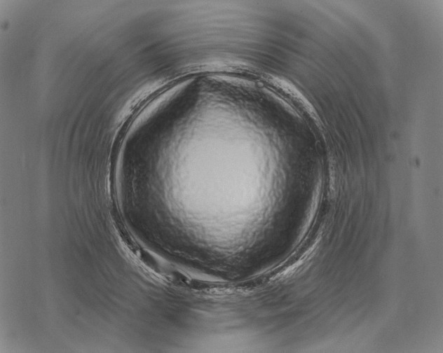X0000071820938200607211733