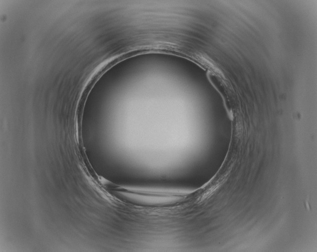 X0000071820940200607211733