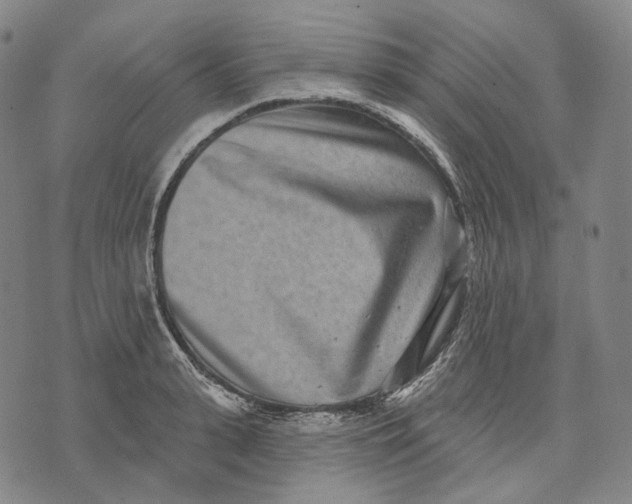 X0000071820943200607211733