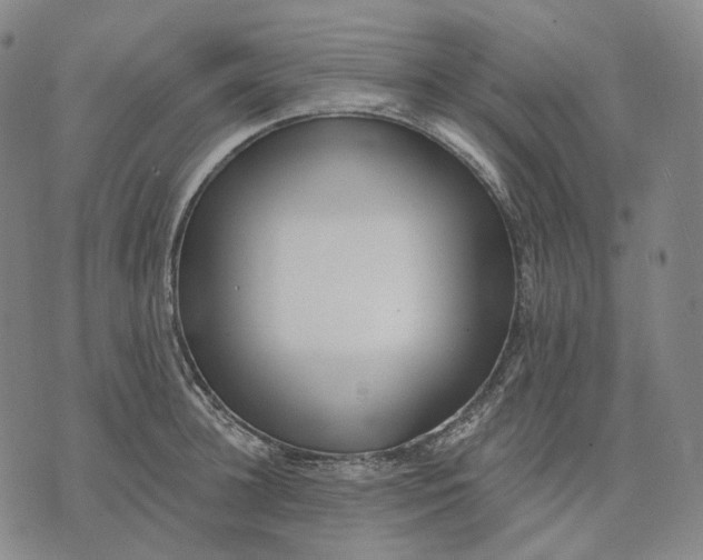 X0000071820948200607211733