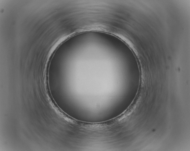 X0000071820949200607211733