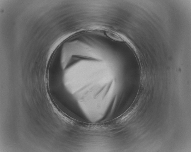 X0000071820951200607211733