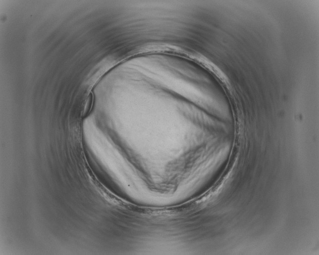 X0000071820953200607211733