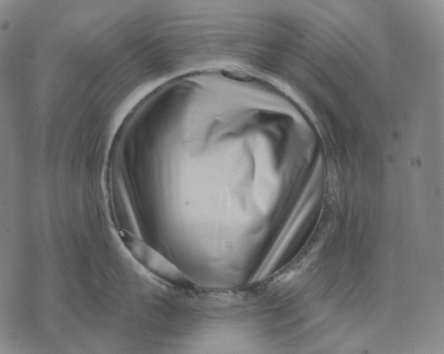 X0000071820959200607211733