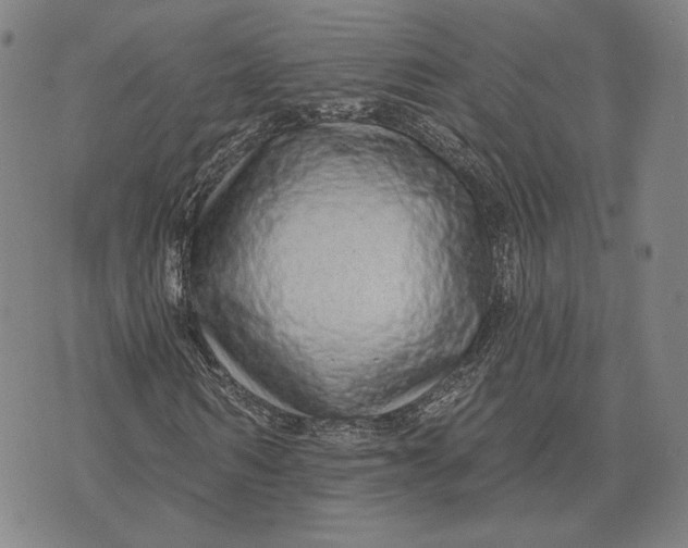 X0000071820962200607211733