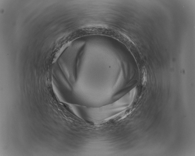 X0000071820965200607211733