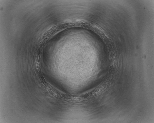 X0000071820966200607211733