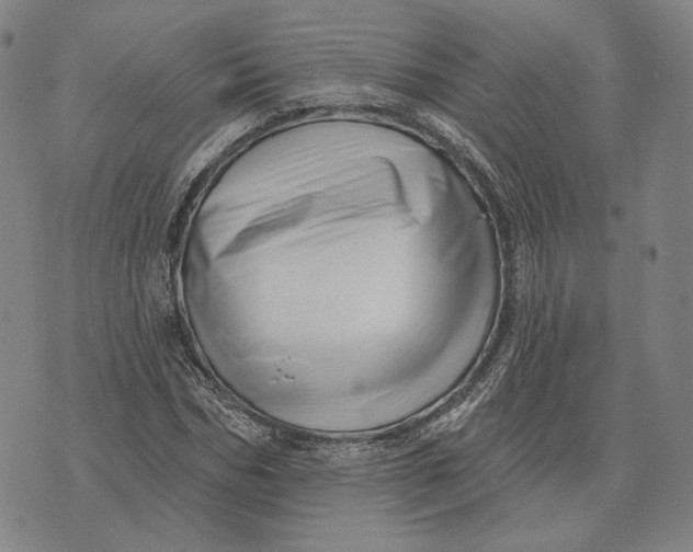 X0000071820970200607211733