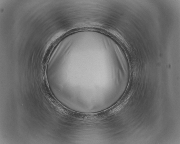 X0000071820974200607211732