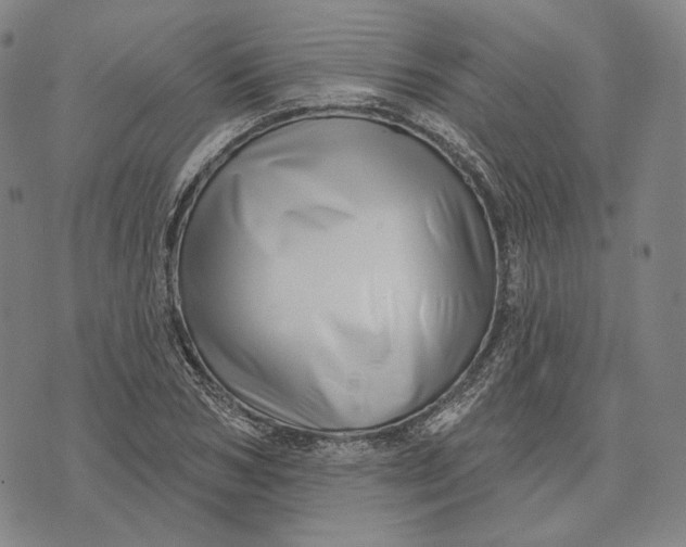 X0000071820978200607211732