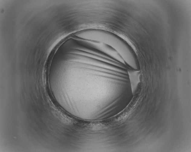X0000071820983200607211732