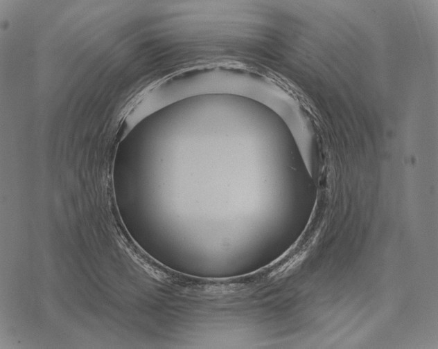 X0000071820985200607211732