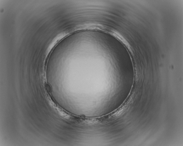 X0000071820994200607211732