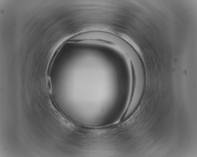 X0000071820996200607211732