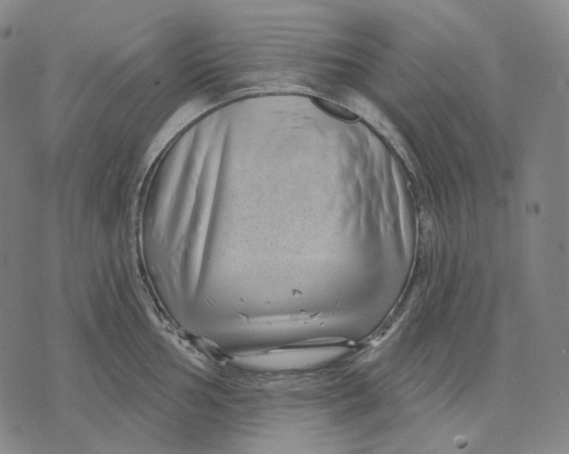 X0000071821002200607211732