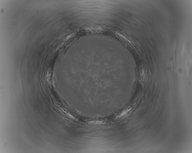 X0000071821010200607211731