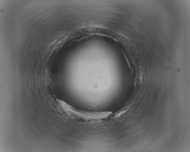X0000071821014200607211731