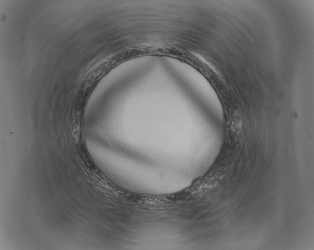X0000071821015200607211731