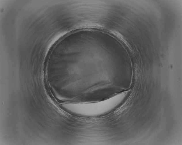 X0000071821024200607211731