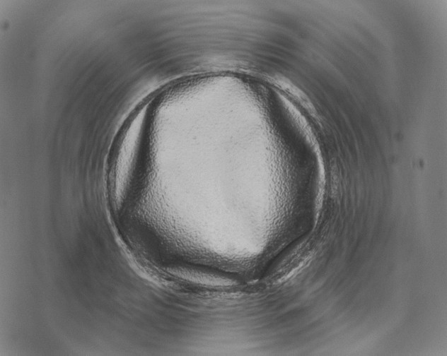 X0000071821039200607211732