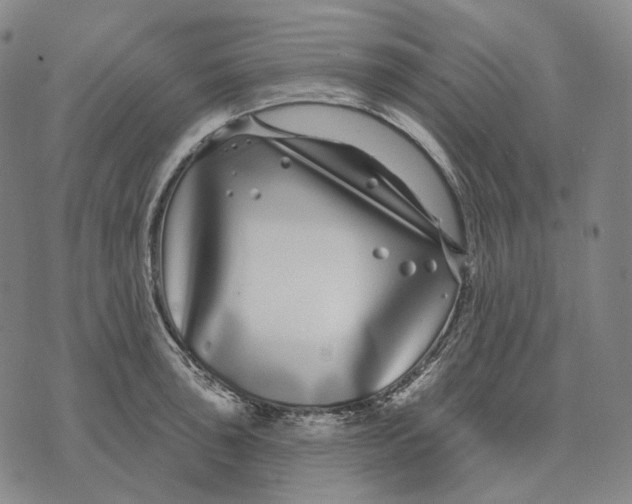 X0000071821043200607211732