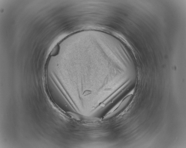 X0000071821048200607211732