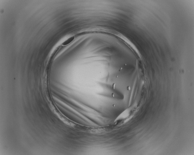 X0000071821053200607211732