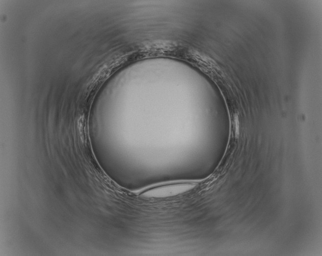 X0000071821059200607211731