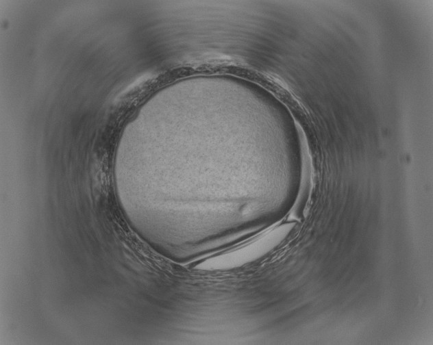 X0000071821063200607211731