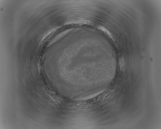 X0000071821064200607211731