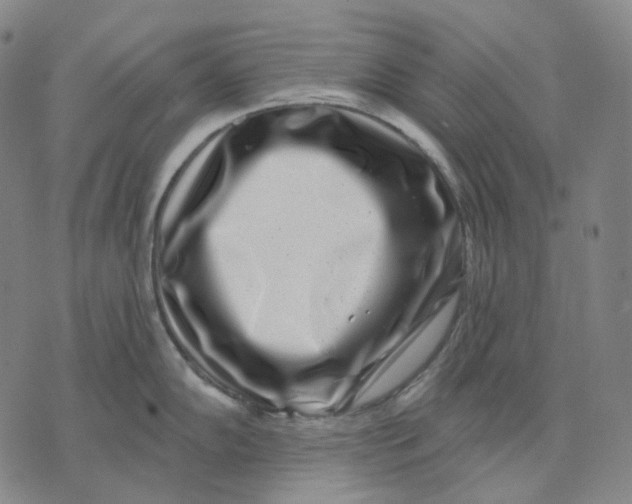 X0000071821102200607211730