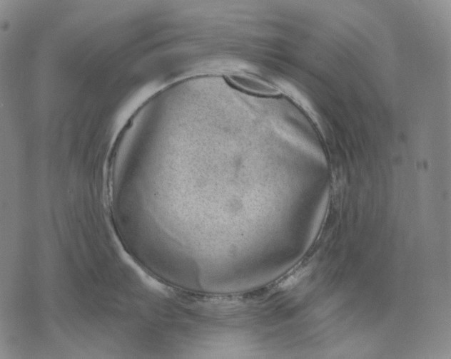 X0000071821103200607211730