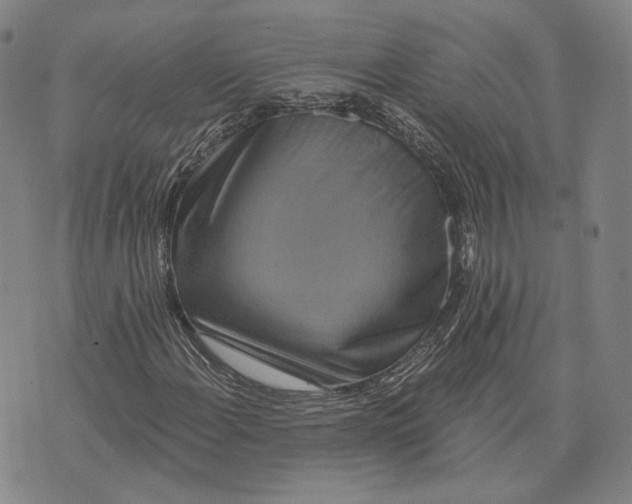 X0000071821108200607211730