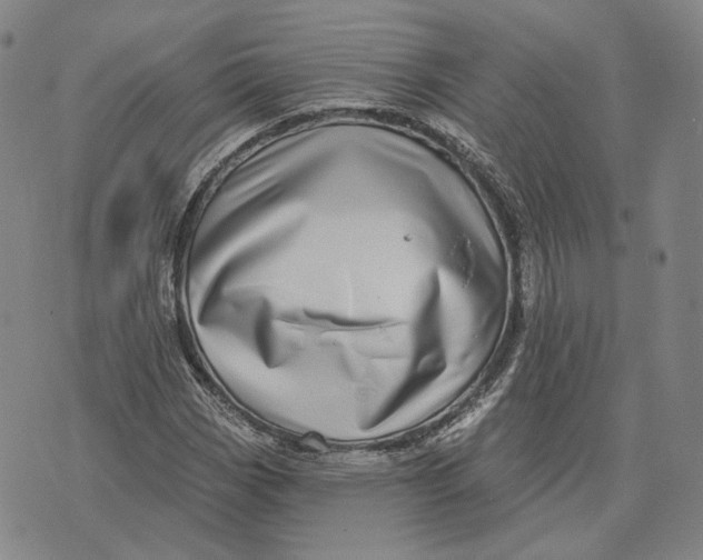 X0000071821113200607211730