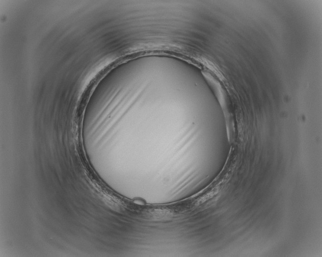 X0000071821119200607211730