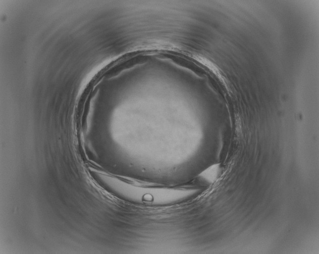 X0000071821120200607211730