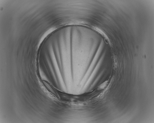 X0000071821138200607211730