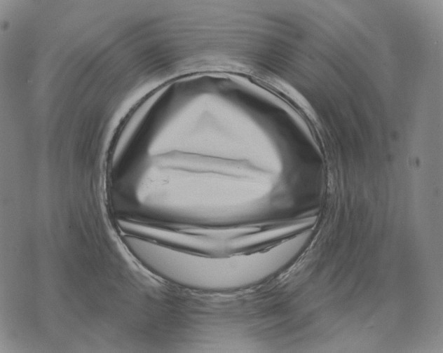 X0000071821144200607211730