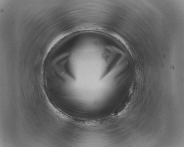 X0000071821147200607211730