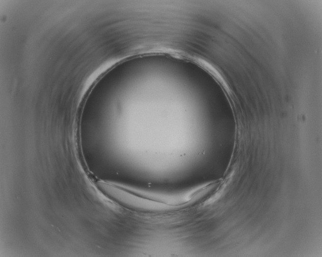 X0000071821149200607211730