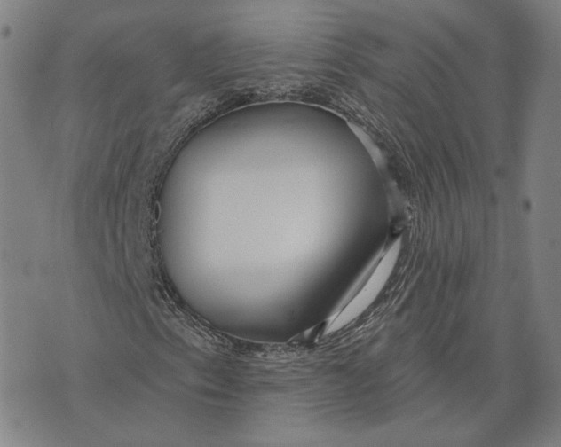 X0000071821153200607211730