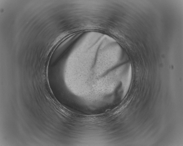 X0000071821170200607211729