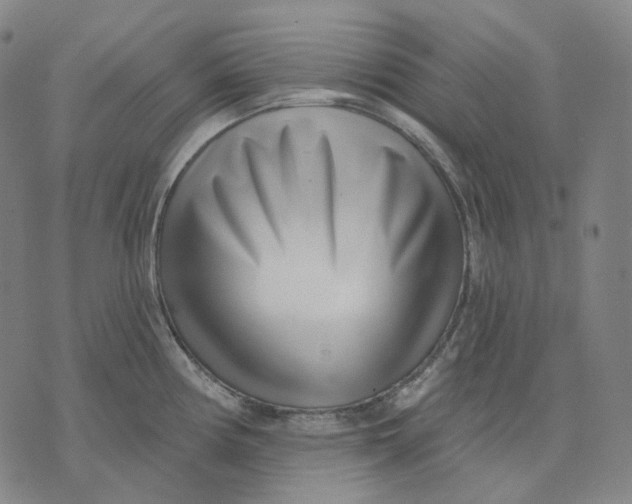 X0000071821194200607211729