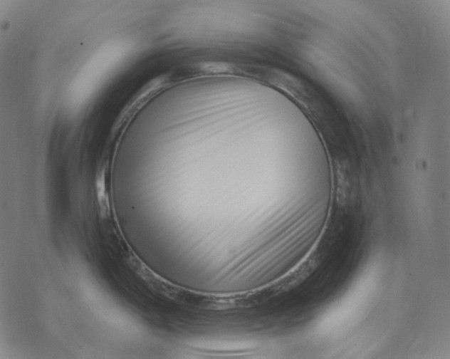 X0000071821198200607211729